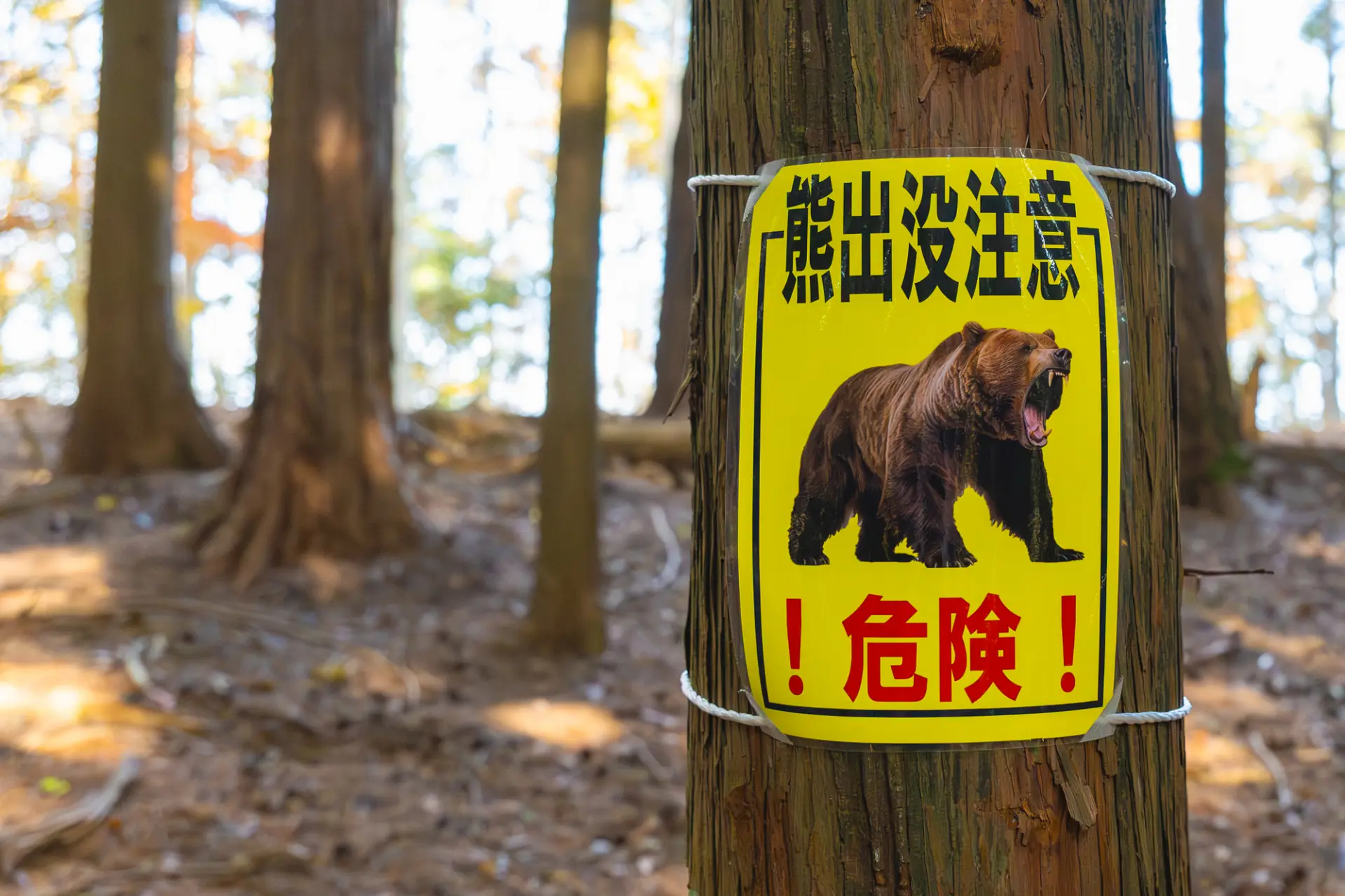 日本の自然を楽しむためにも無理のない行動を心がけよう