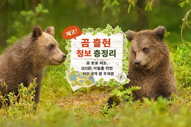 【2026년 최신】곰 출몰 정보·곰 출현 지도 정리｜여행·등산을 안전하게 즐기는 완벽 대책 가이드