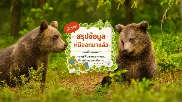 [อัปเดตล่าสุดปี 2026] รวมข้อมูลหมีออกหากินและแผนที่พบหมีในญี่ปุ่น｜คู่มือเตรียมตัวครบถ้วนเพื่อเที่ยวและเดินเขาอย่างปลอดภัย