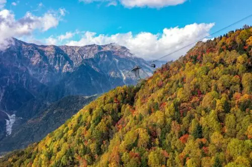 The peak time for autumn foliage is from mid to late October, though it varies slightly from year to year.