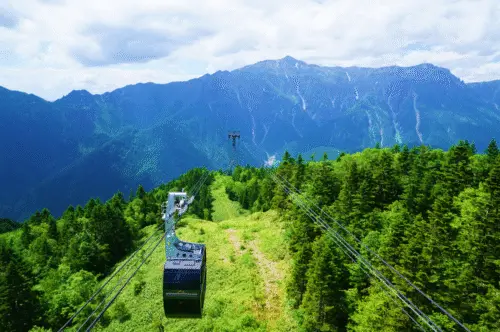 From the ropeway you can look down over an endless expanse of green.