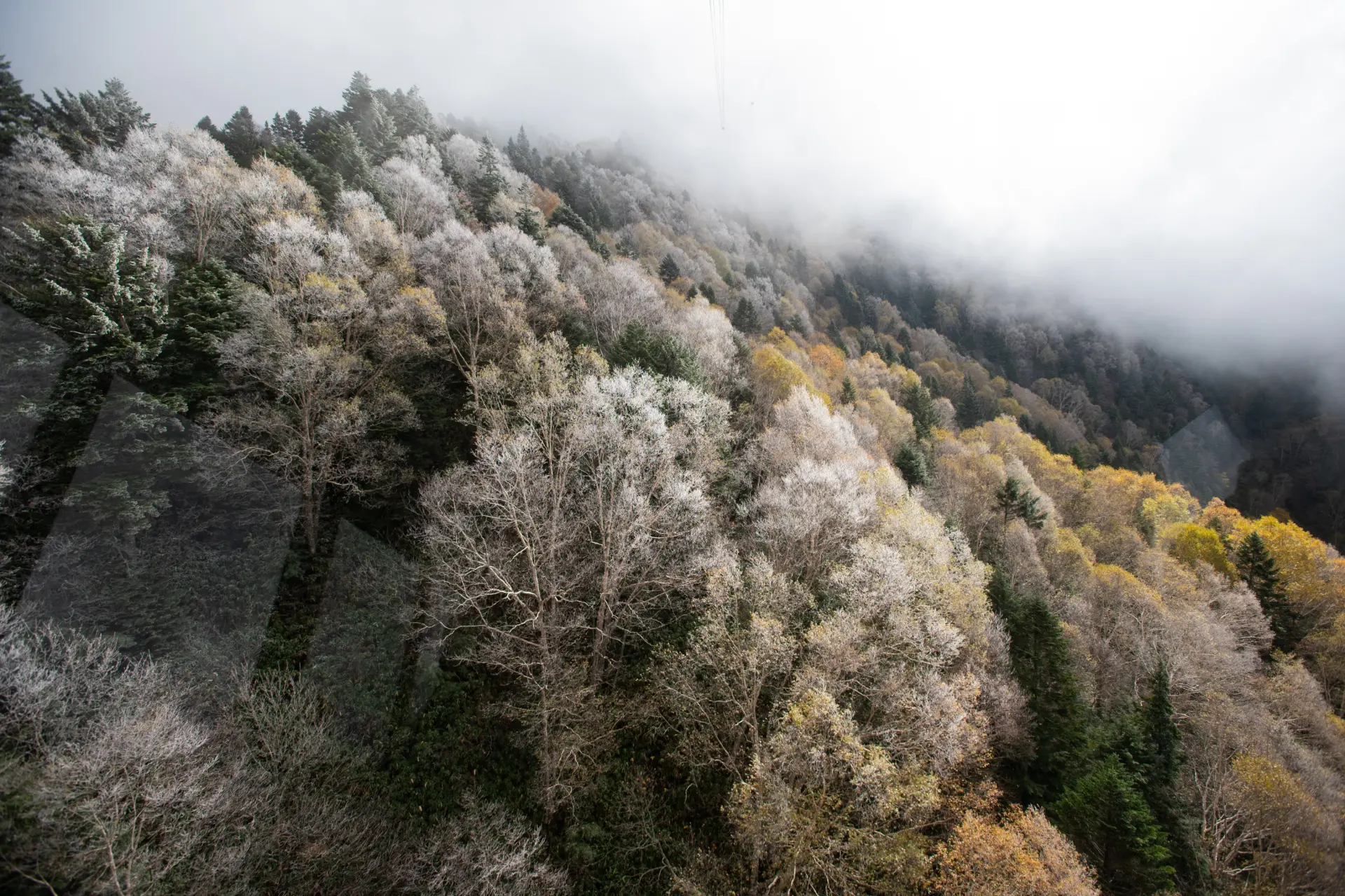 View of mountains covered in frost