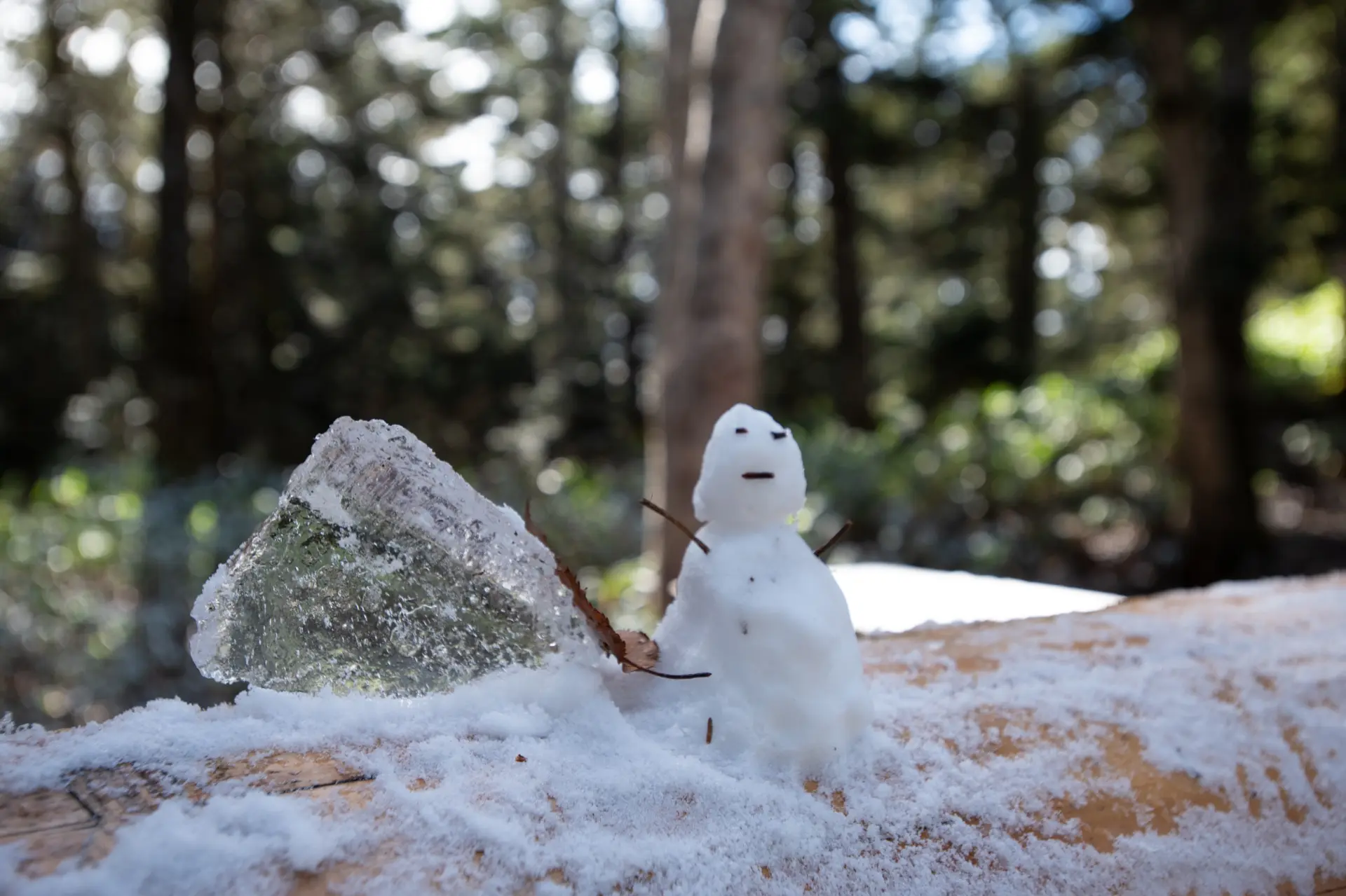 Forest Table is surrounded by primeval forest where you can feel the changing seasons.