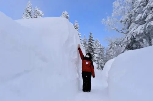 You can experience snow piled higher than your height up close.