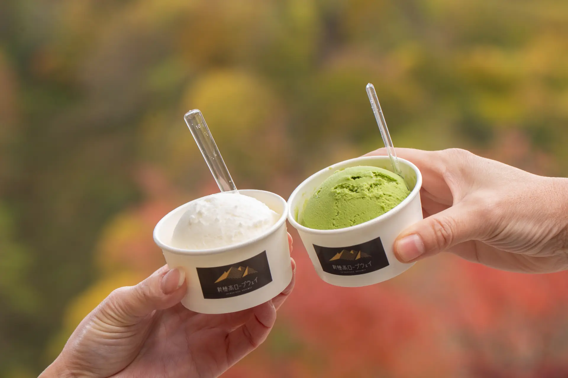 Furusato Milk and Matcha made with Hida milk are popular.