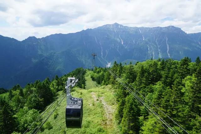 From the ropeway you can look down over an endless expanse of green.