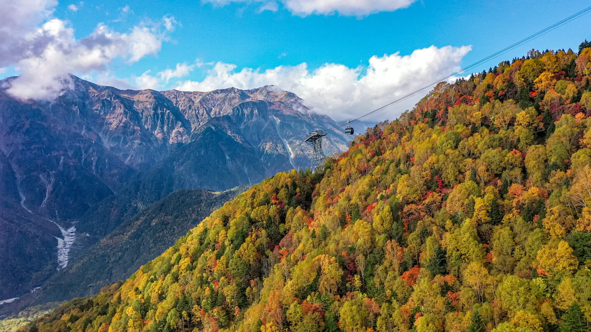 年により前後するが、10月中旬から下旬が紅葉の見頃
