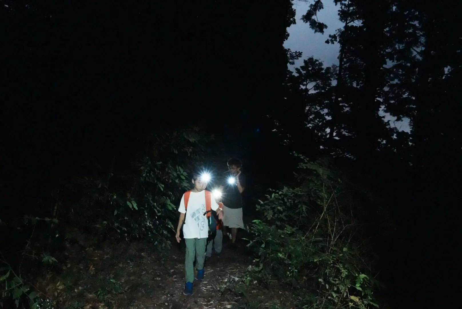 暗闇の中をヘッドライトの明かりを頼りに進んでいく