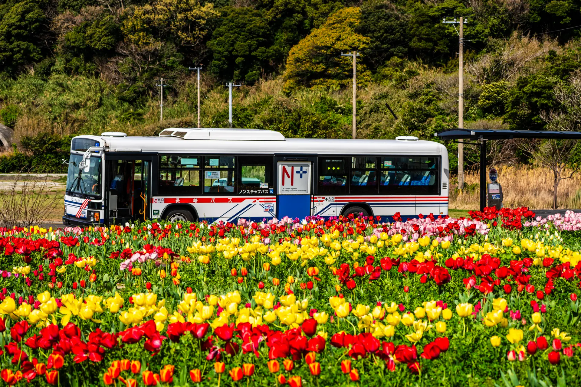 地域の雰囲気も楽しめるのもバス旅ならでは