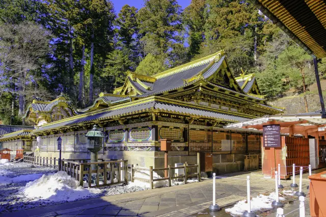 御本社の建築様式「権現造」にも注目してみよう