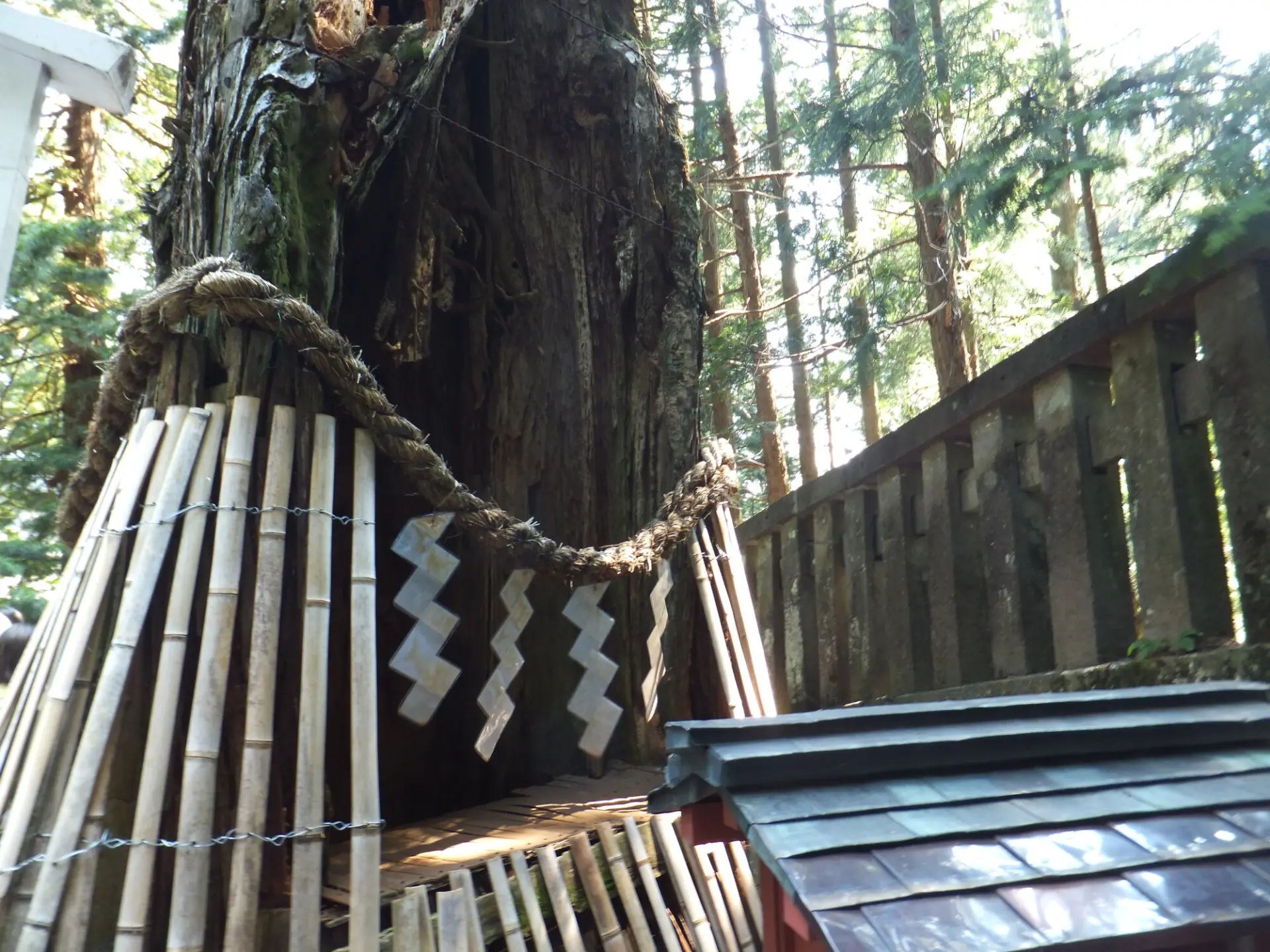 御宝塔のすぐ隣にあるパワースポット