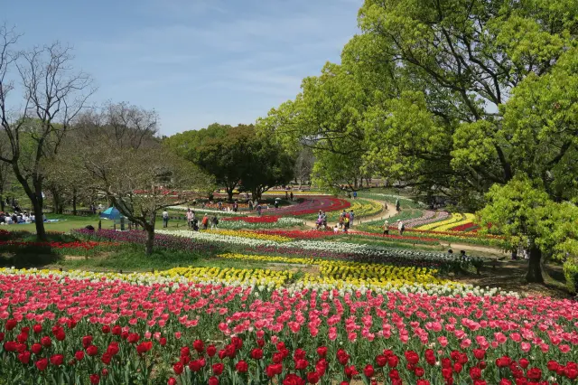 自然文化園に広がる四季折々の草花と新緑が、春の園内を彩る