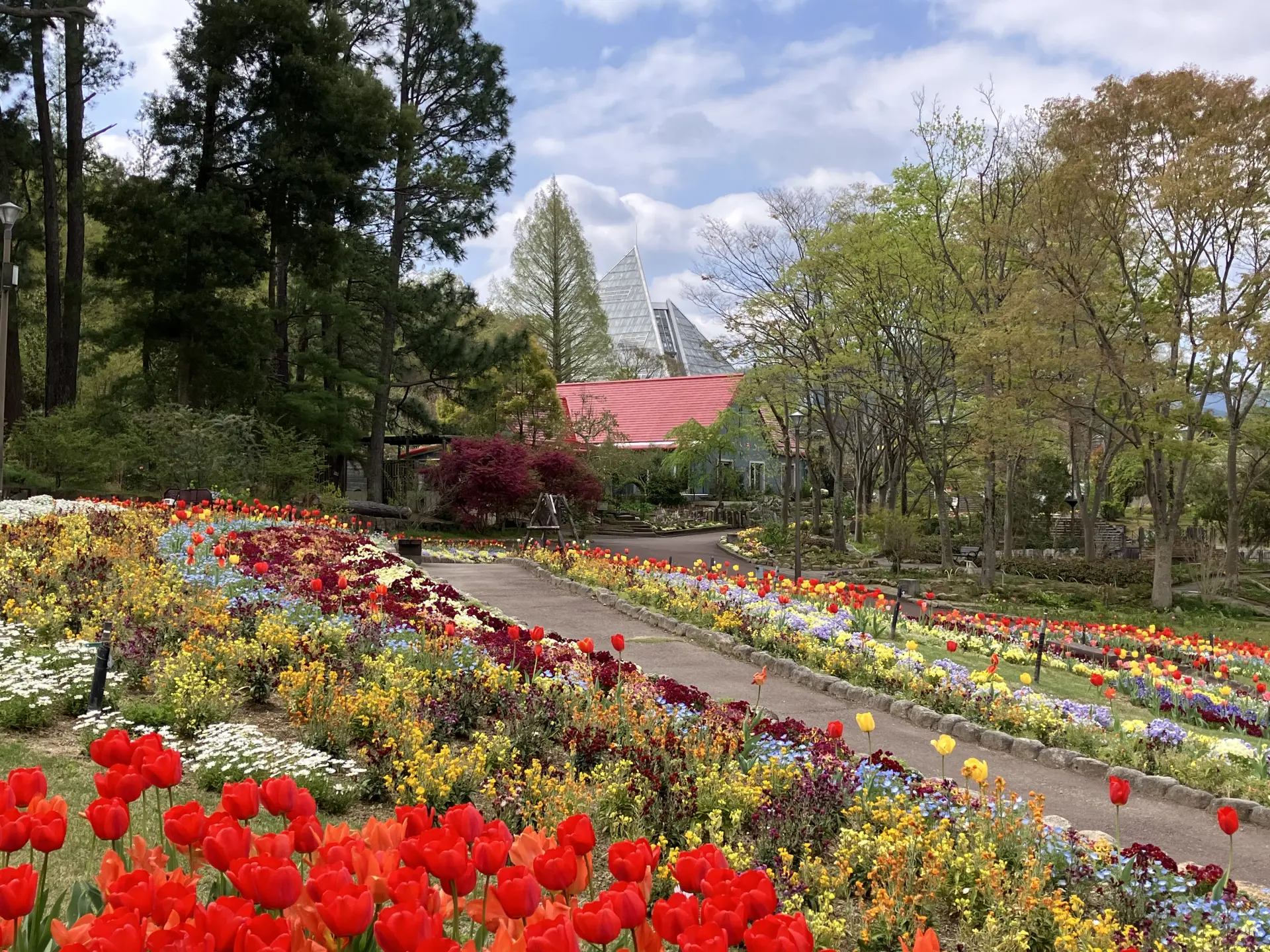 園内では季節の花が彩りを変え、春らしい明るい風景が広がる