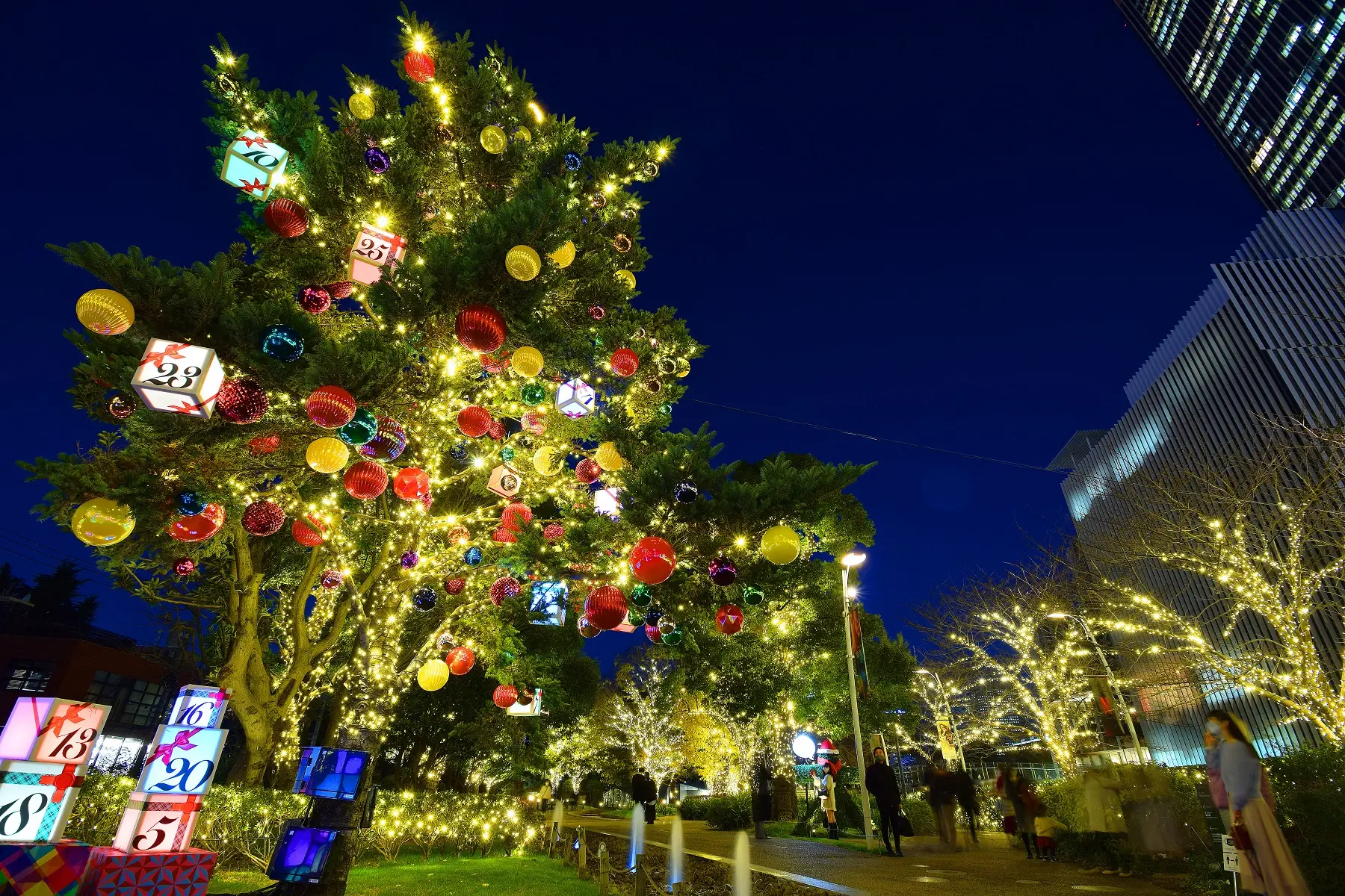 イルミネーションで華やぐ街は多幸感に溢れる
