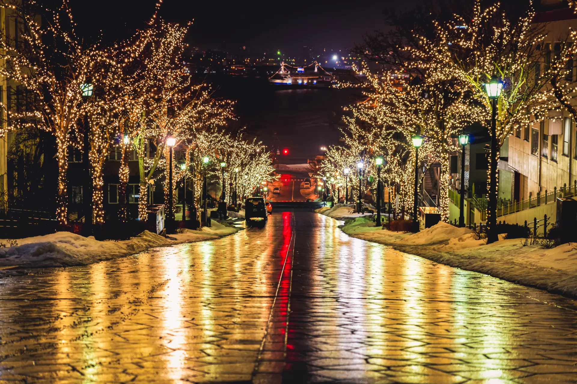 はこだてイルミネーション期間中の八幡坂