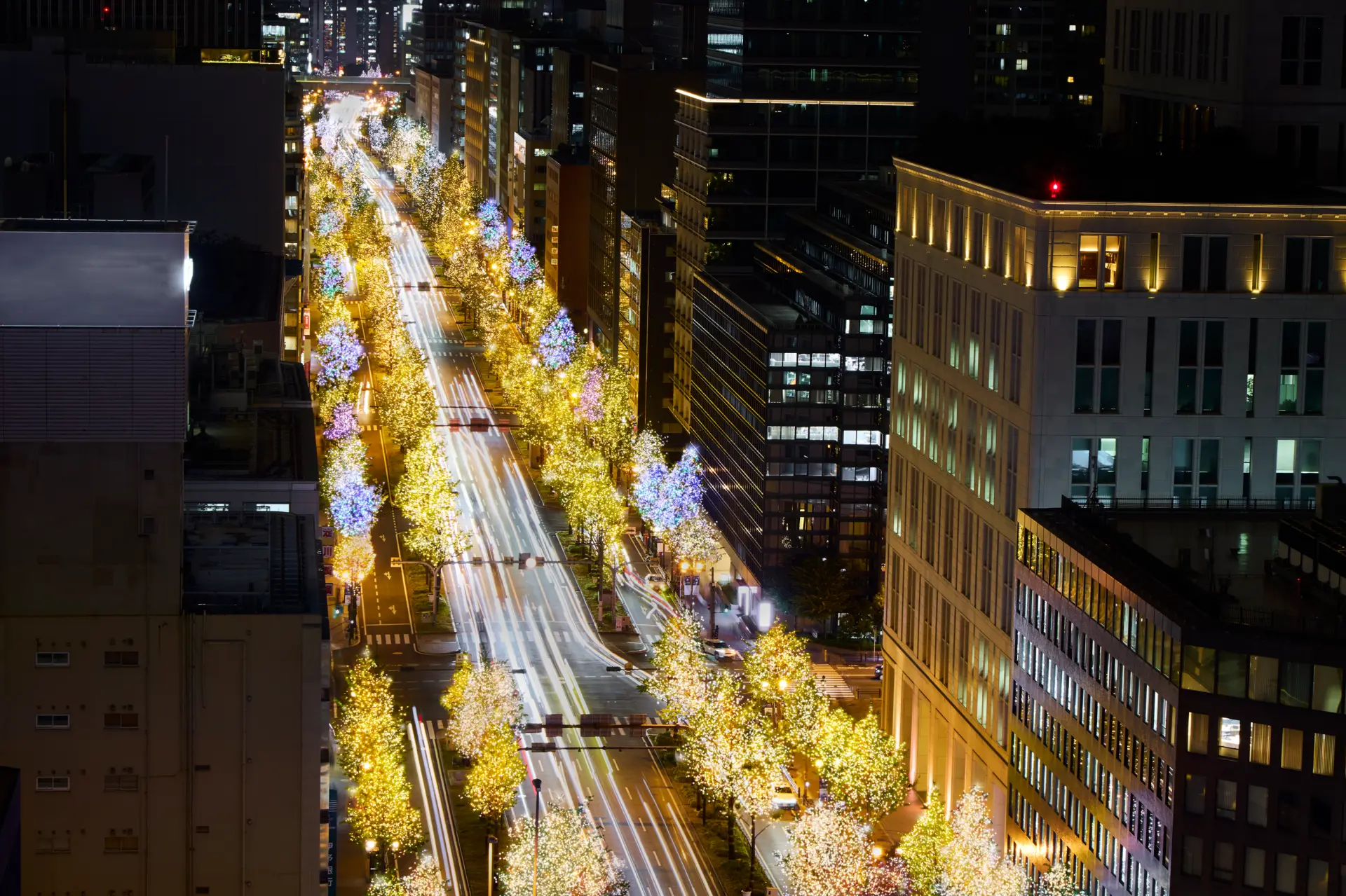 輝く未来へつなぐ光のシンボルストリート