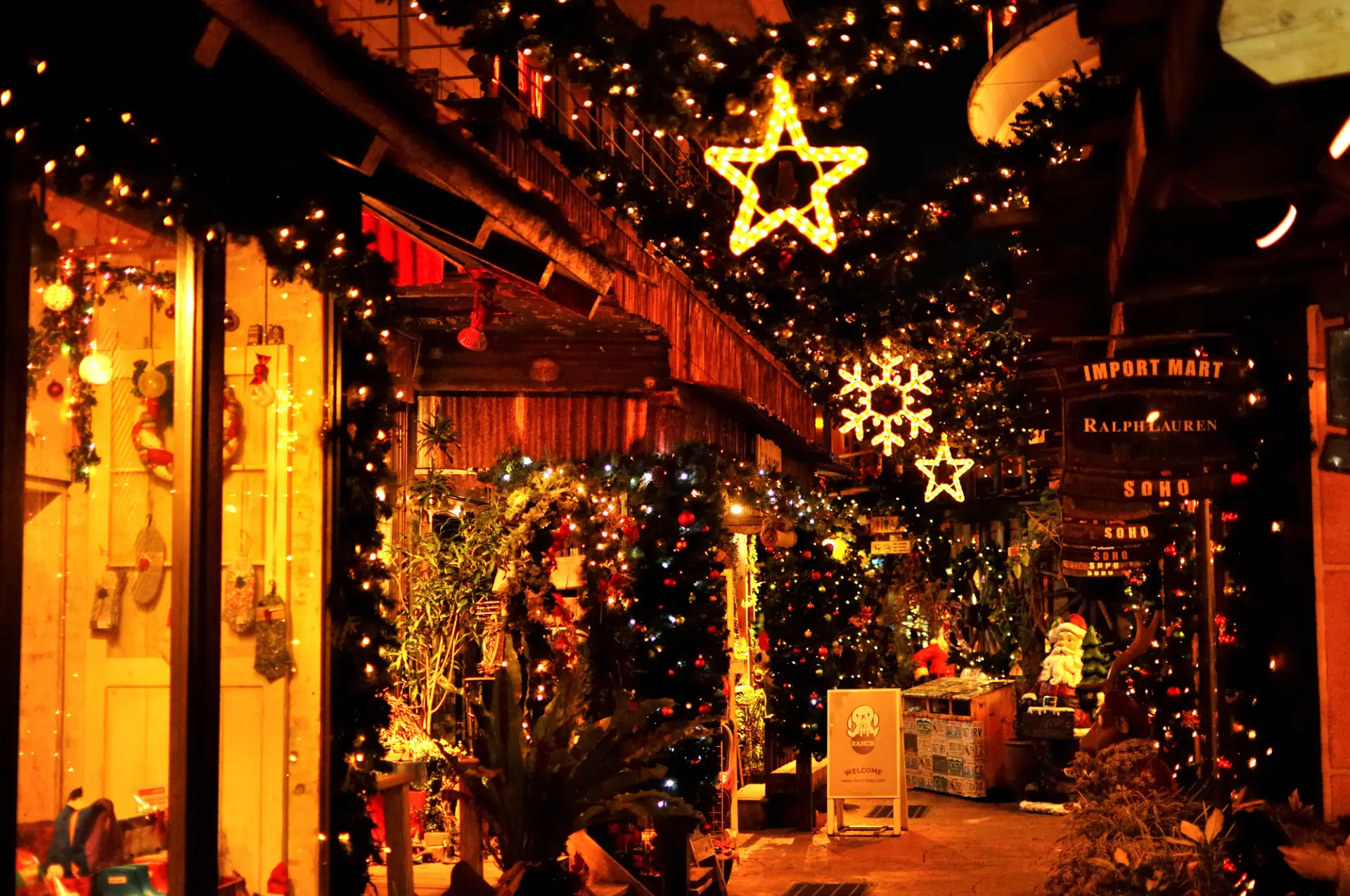 日本各地のイルミネーションを楽しもう