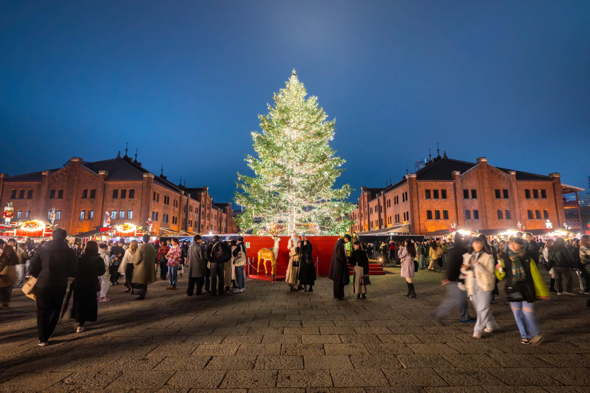 本場ドイツの雰囲気を横浜の美しい景色と共に堪能
