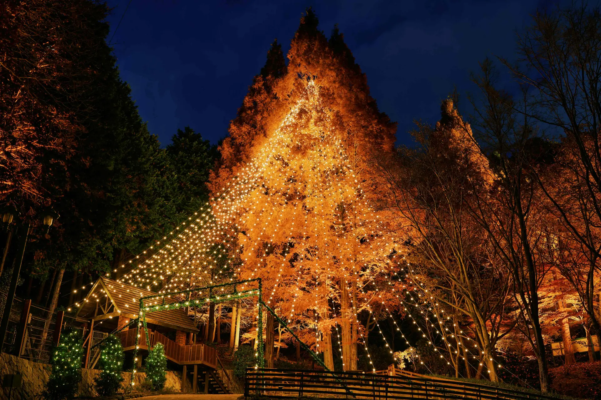 神戸クリスマスマーケットのシンボルツリー