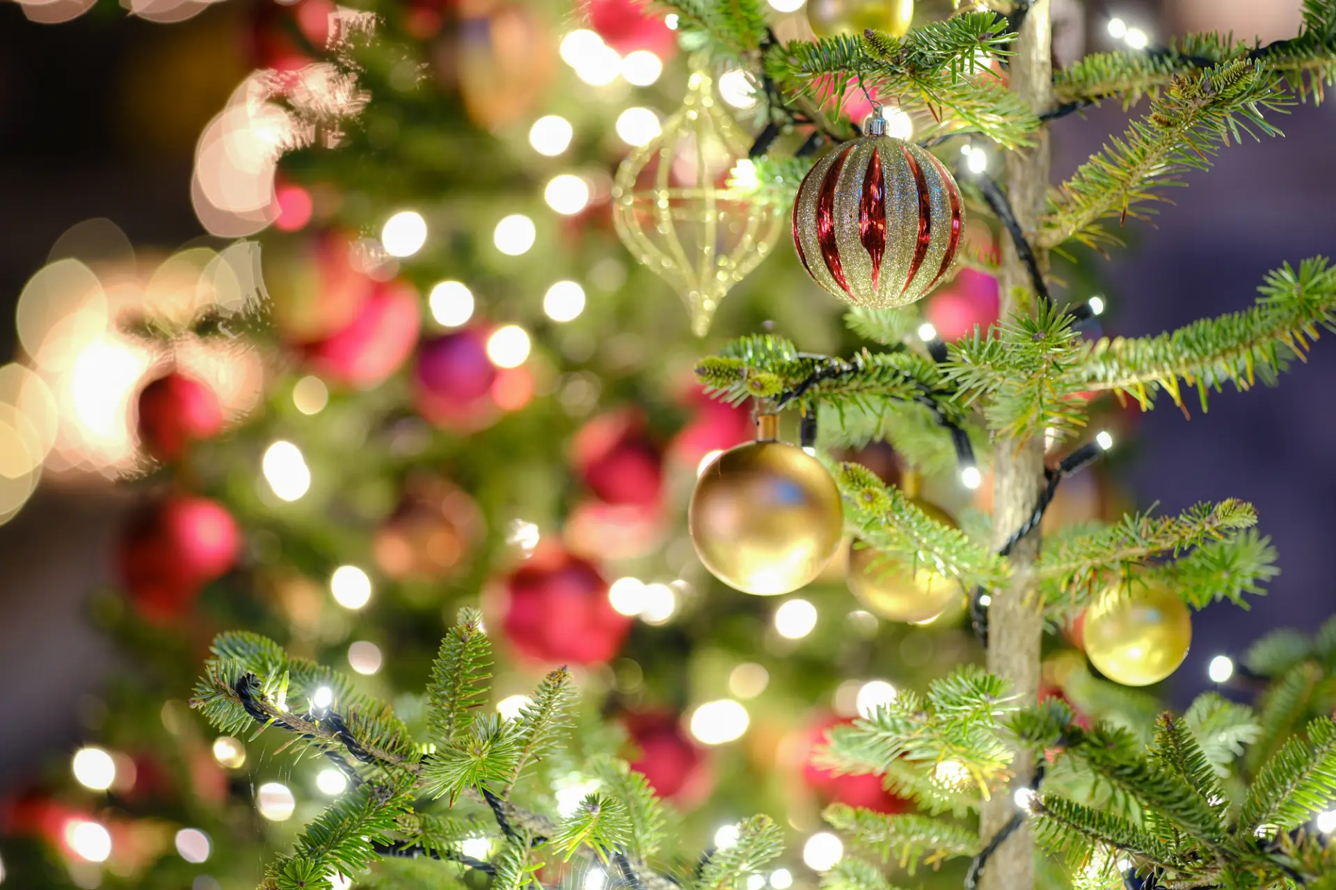 ディズニーの世界観の中でクリスマスを満喫しよう（※写真はイメージです。）