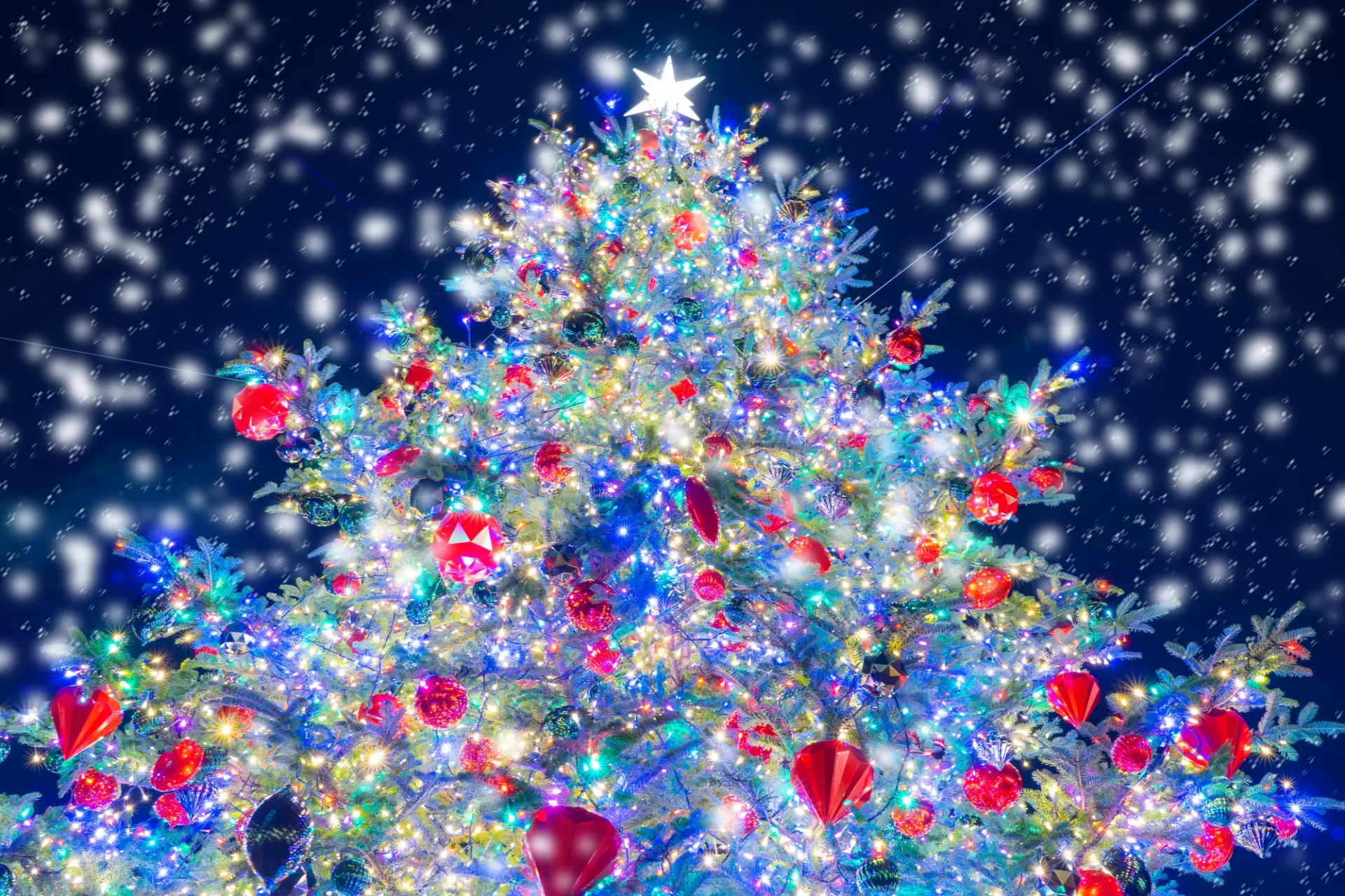 クリスマスシーズンならではの景観・グリーティングを楽しもう（※写真はイメージです。）