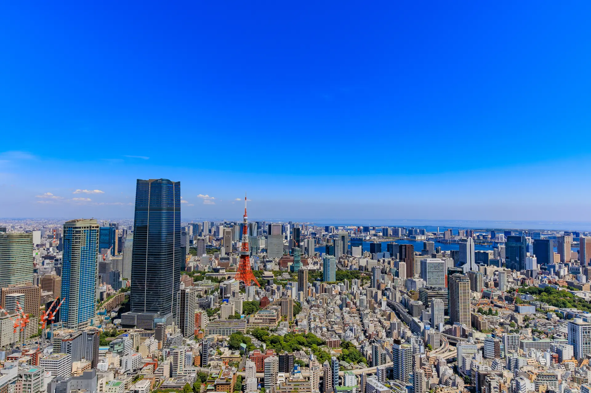 「港區」可說是東京觀光中不可錯過的熱門地區