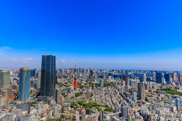 東京観光には外せないエリアともいえる港区