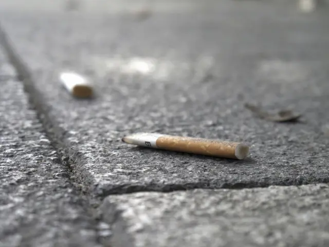 港区に限らず日本のどの地域でもポイ捨てはすべきではない