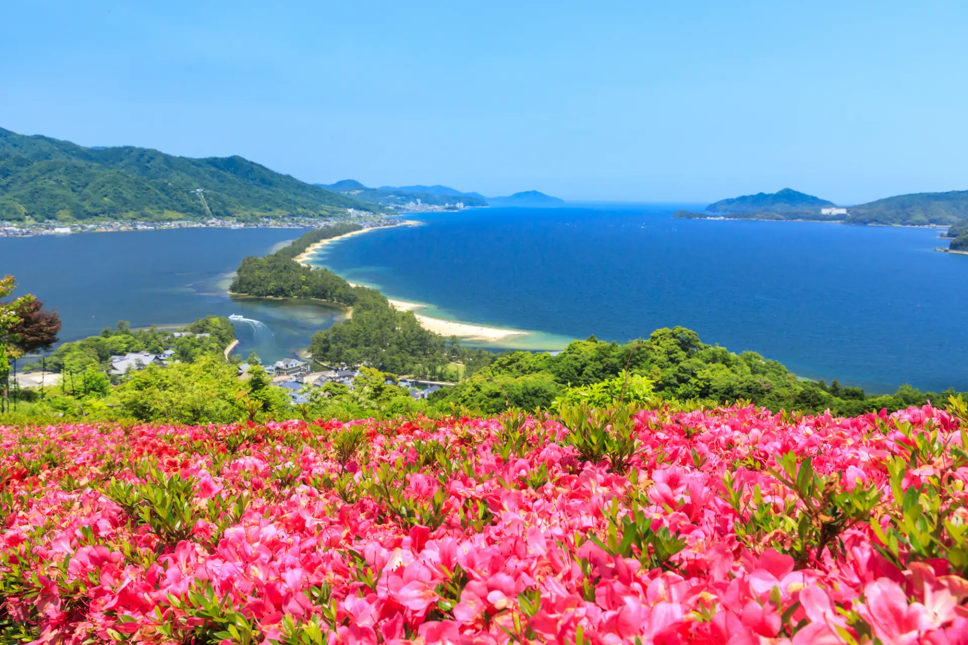 【春の京都府観光ガイド】桜と新緑が出会う春色の絶景