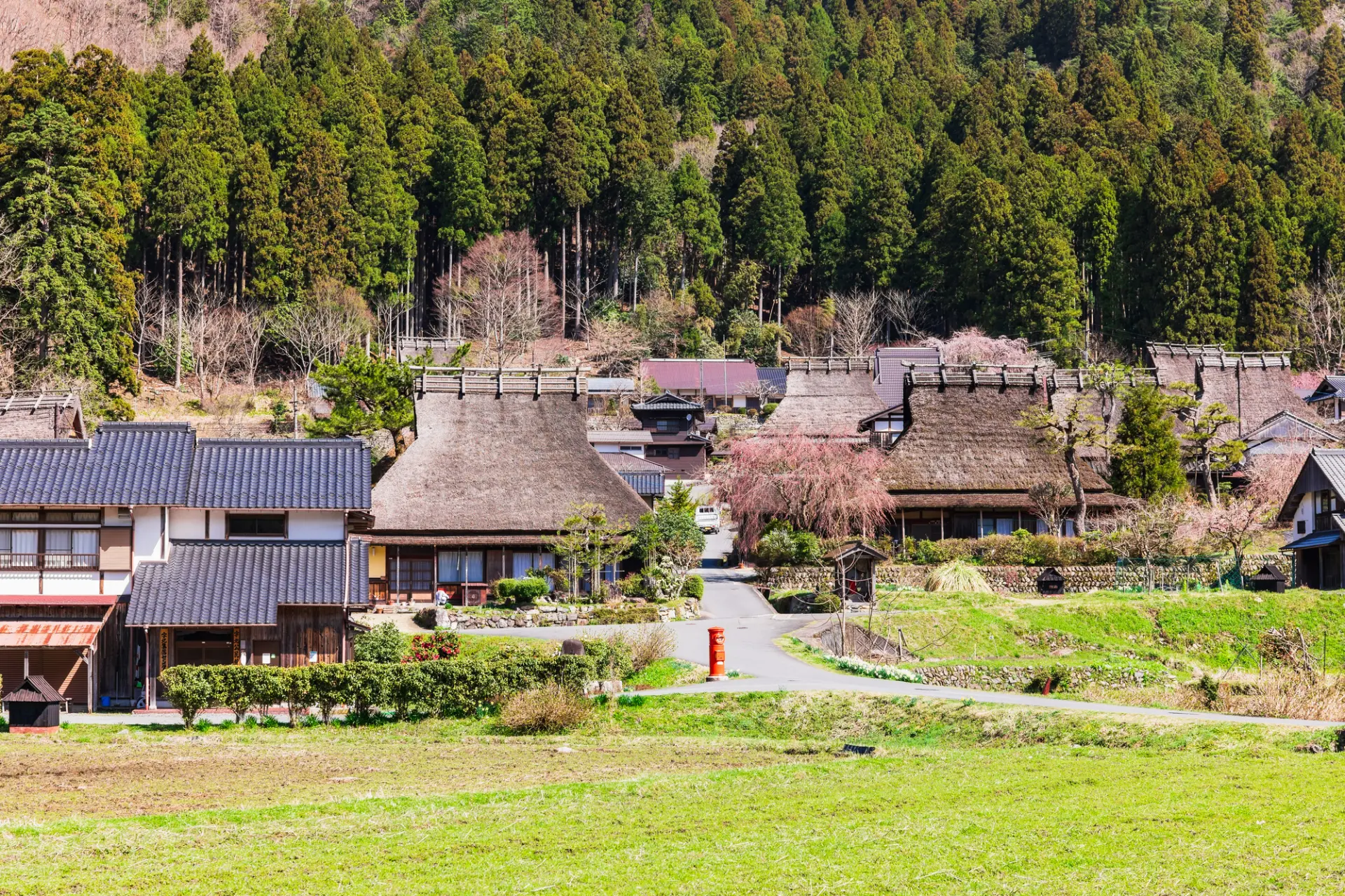 茅葺きの集落に春の彩りが重なり、穏やかな里山の景観が広がる