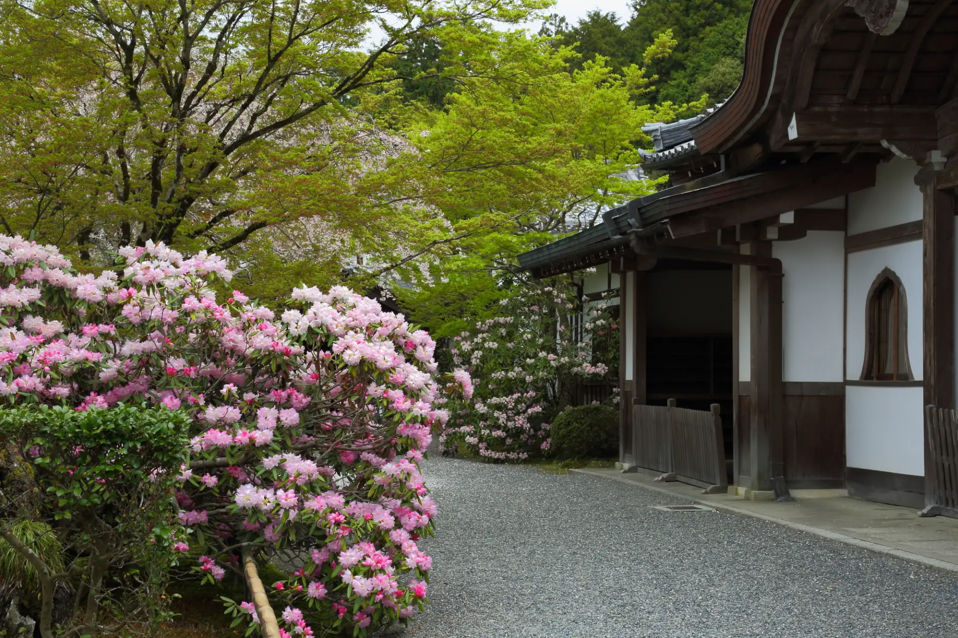 境内に点在するお堂と庭園が見せる、四季折々の美しい景観