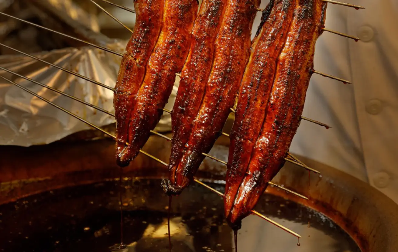 とろみのあるタレがうなぎによく絡む