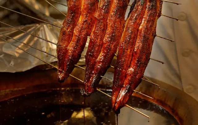 濃稠的醬汁與鰻魚完美融合