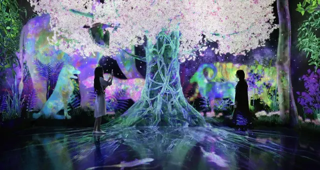 チームラボが手がける展示・食・宿を巡る楽しみ方ガイド