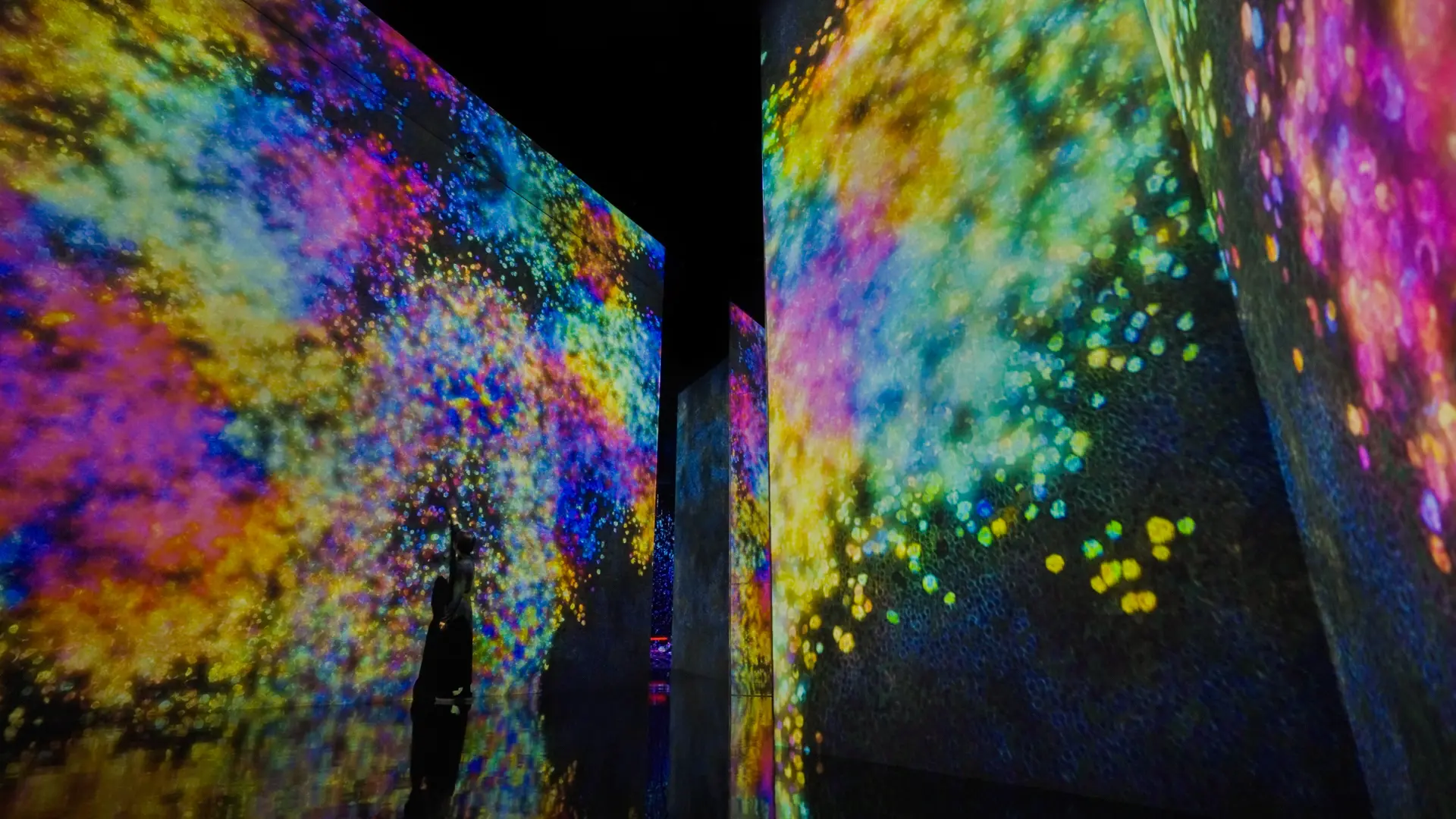 境界が曖昧な空間で記憶に残る体験ができる