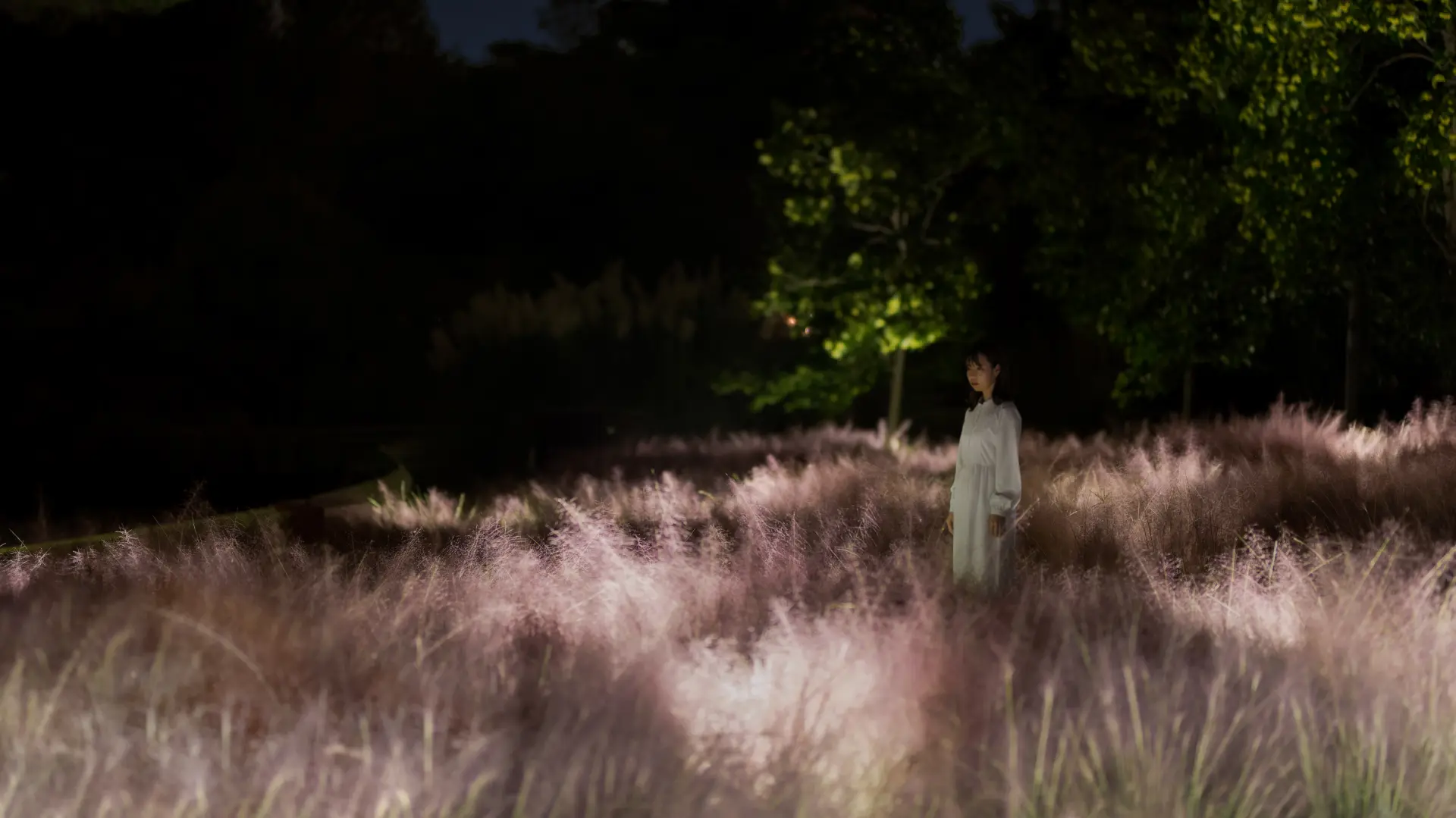 自然界のダイナミズムをテクノロジーで表現する展示