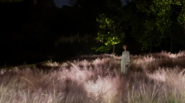 透過科技表現自然界活力的展覽