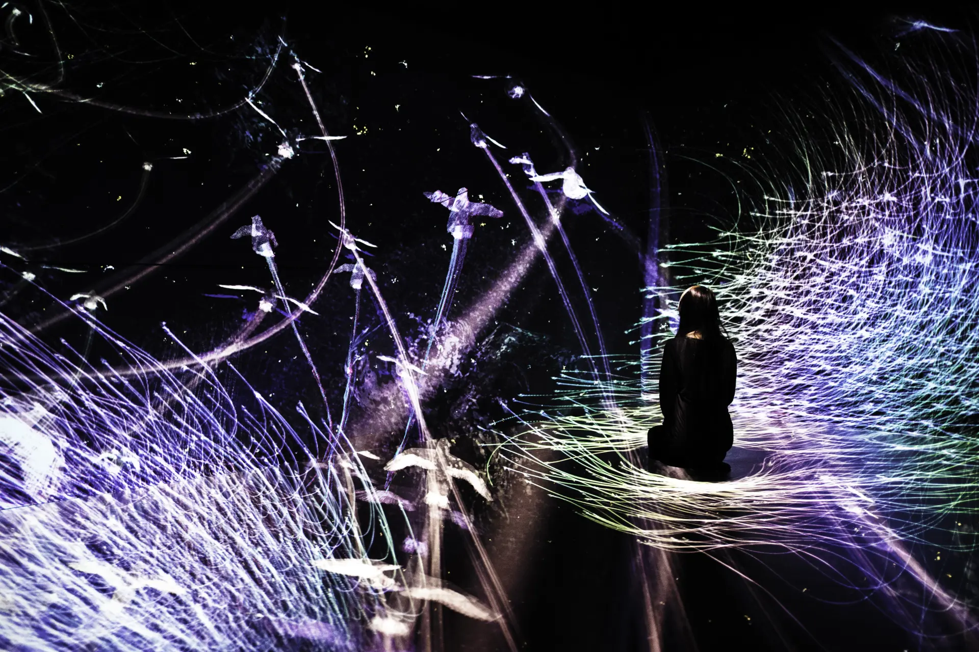 自由に空を飛ぶ鳥と一体になり、禅の世界を体感できるアート作品