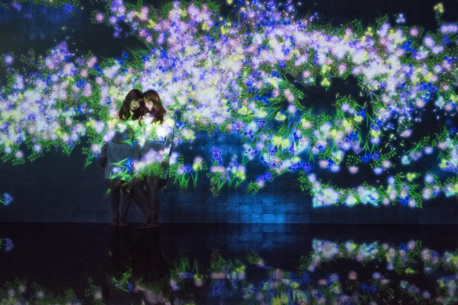 展示作品「花と人、コントロールできないけれども、共に生きる」