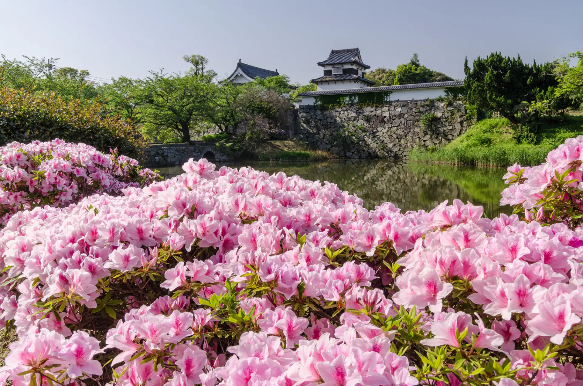 【春の福岡県観光ガイド】桜と名城、歴史を楽しむ春さんぽ