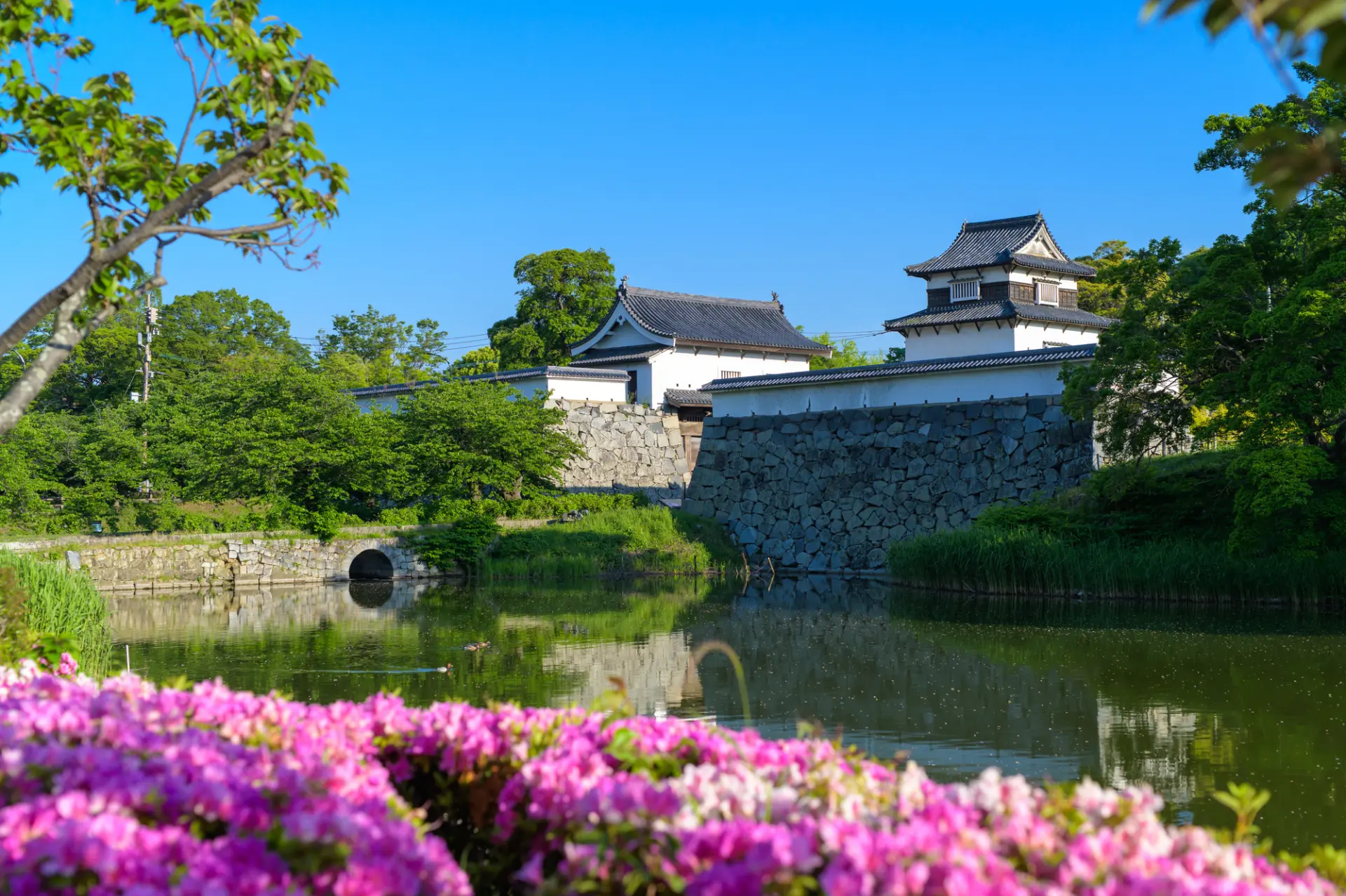 県指定建造物(伝)潮見櫓など見どころが多数
