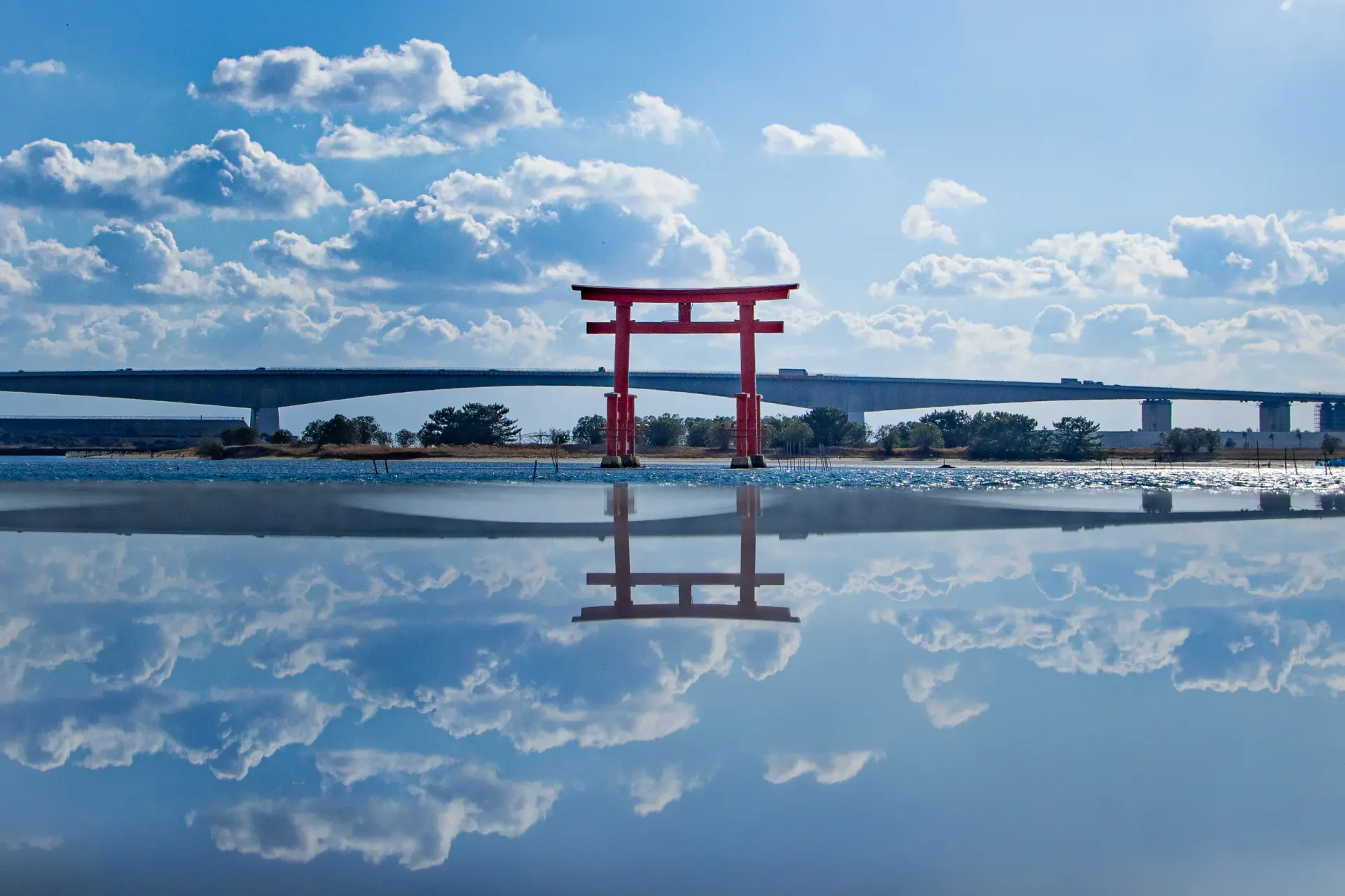 能一望鳥居的神秘景緻，充滿南國風情的公園
