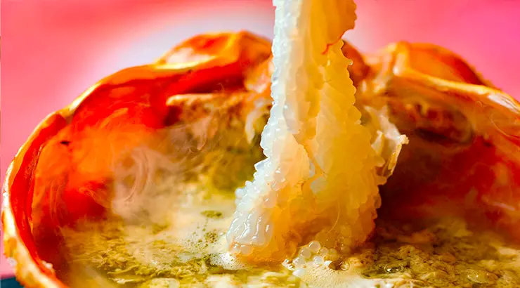 能盡情品嚐當季海鮮與螃蟹的金澤老字號割烹餐廳