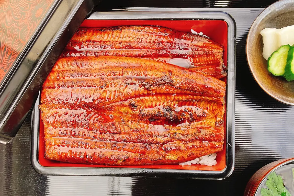 肉厚で脂乗りのよい味わいが楽しめる「うな重」