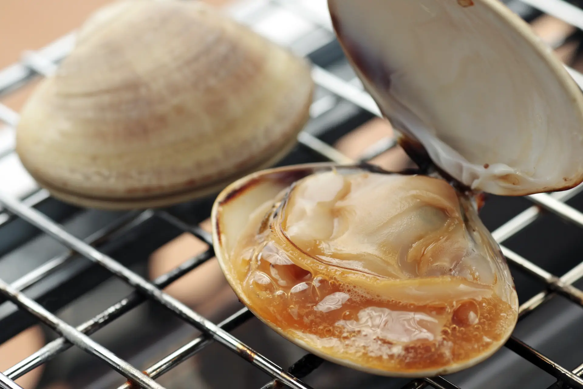 はまぐりの本場で食べる網焼きは絶品