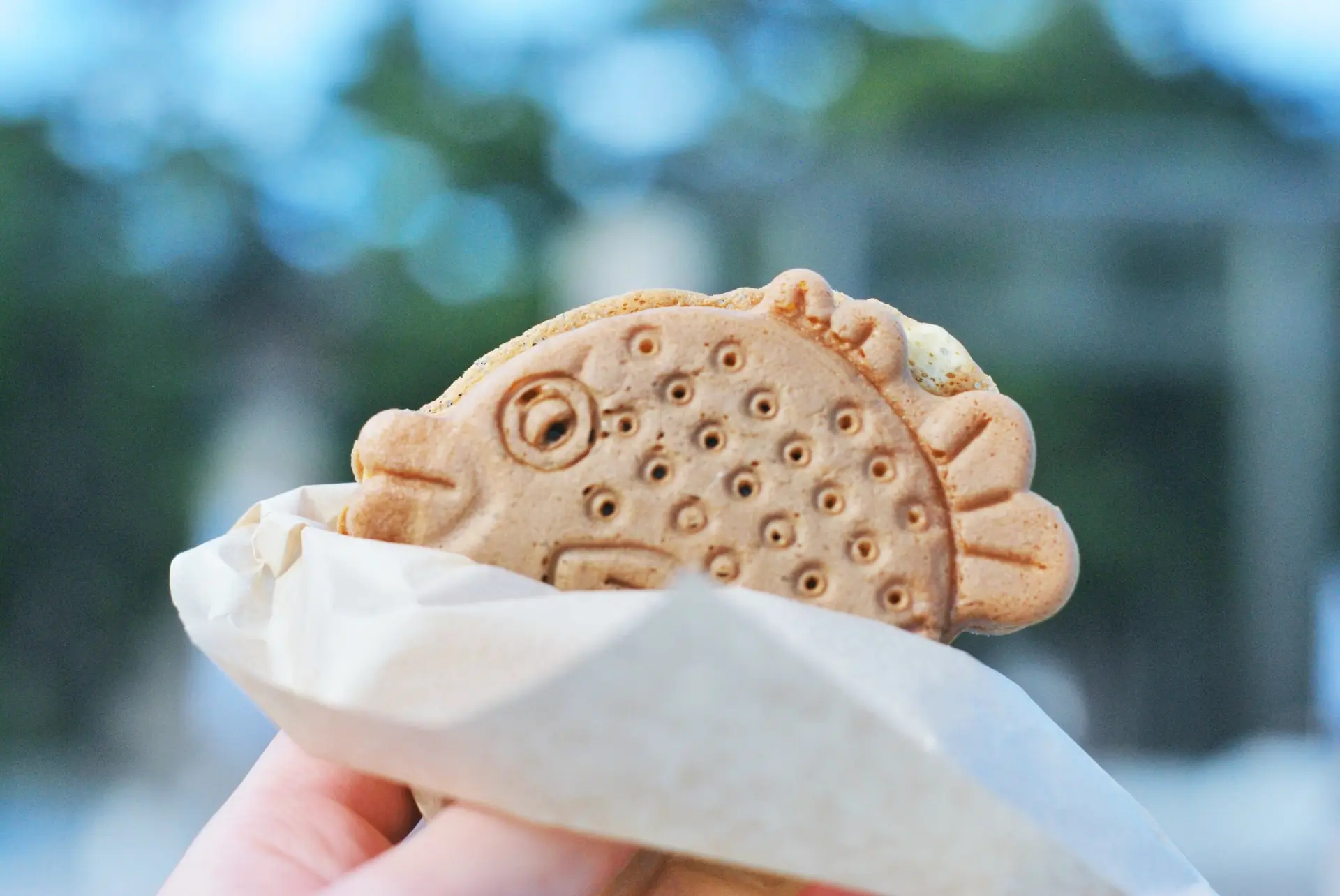 福をもたらすフグがモチーフの「おふく焼き」も人気メニュー