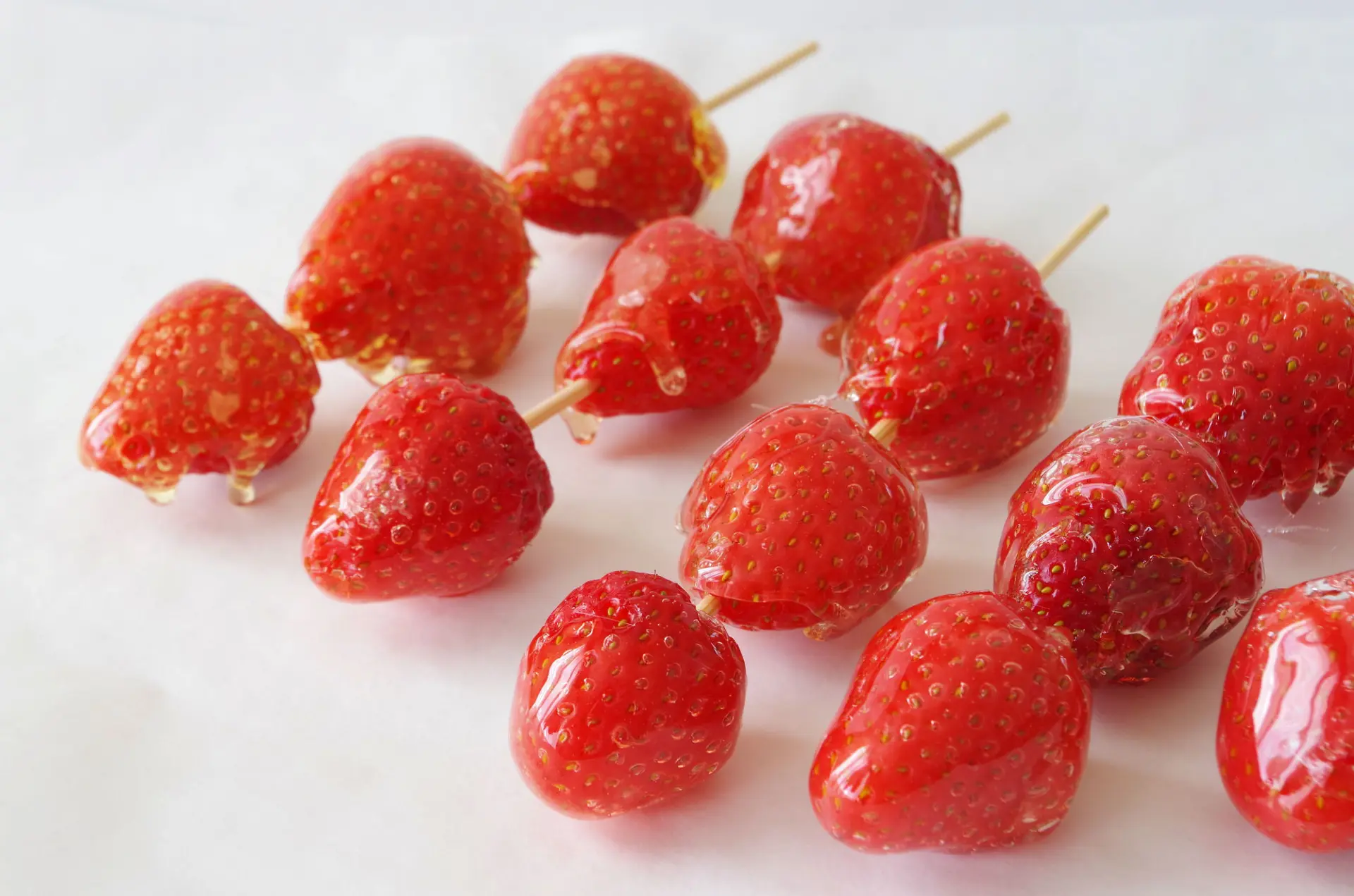 可愛らしい見た目も魅力のひとつ(※写真はイメージです)