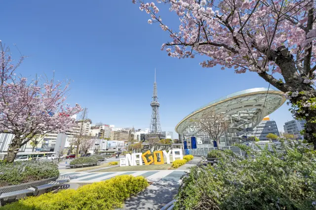 【春の名古屋市観光ガイド】桜とモダン建築が彩る春景観