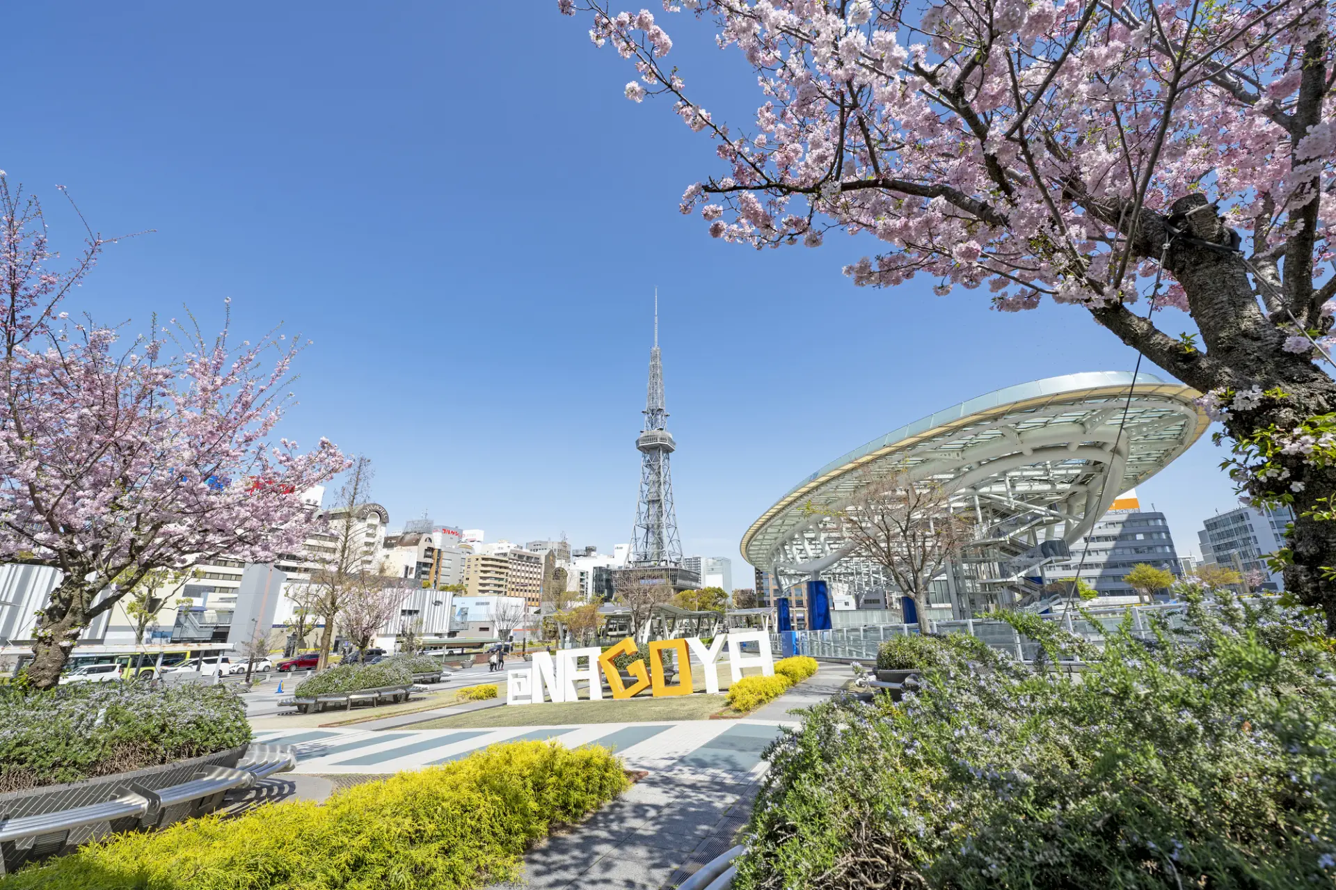 【春の名古屋市観光ガイド】桜とモダン建築が彩る春景観