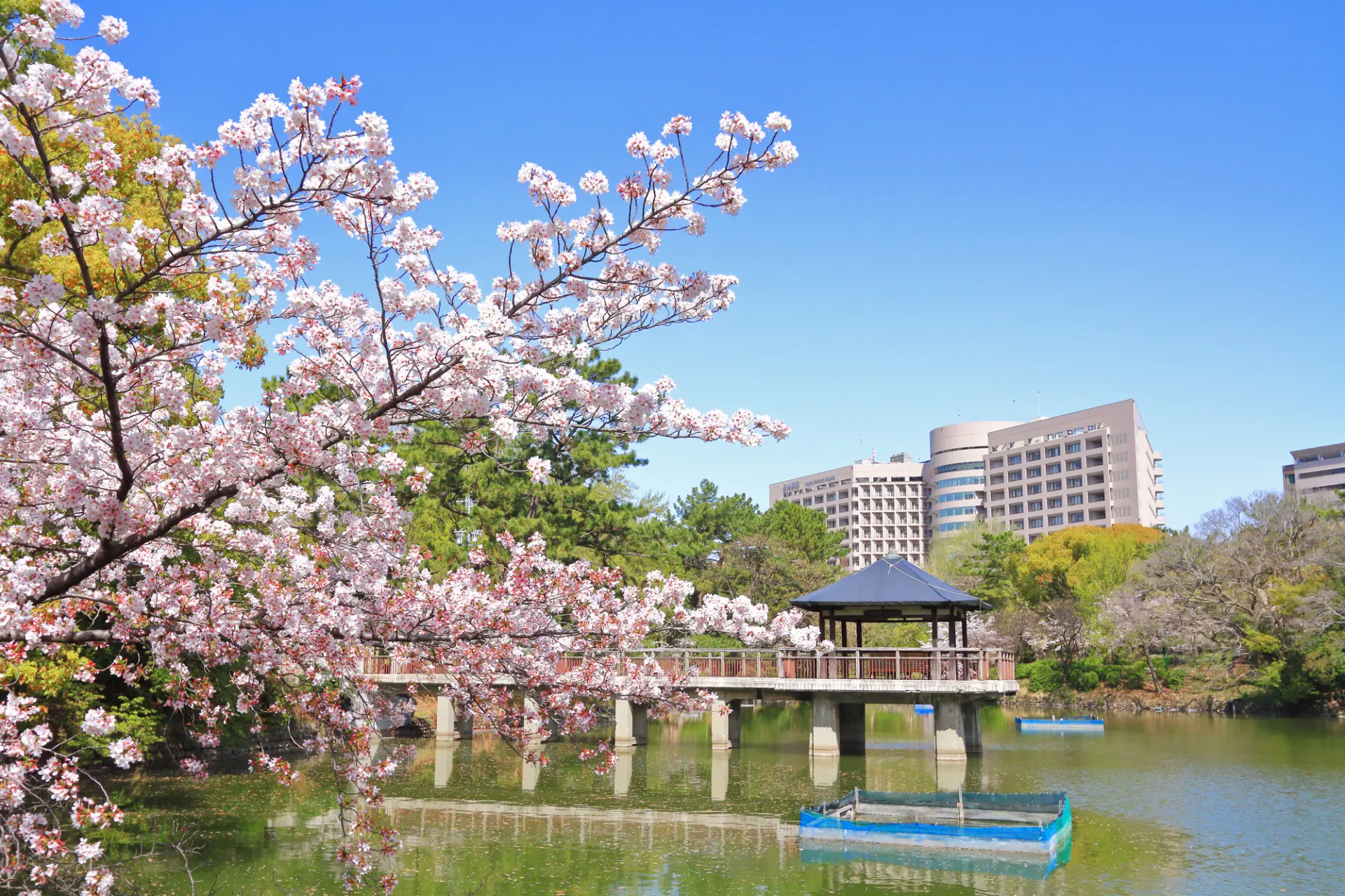 名古屋随一の桜の名所として大勢の花見客が訪れる